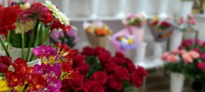 Safi flowers Safi flowers
