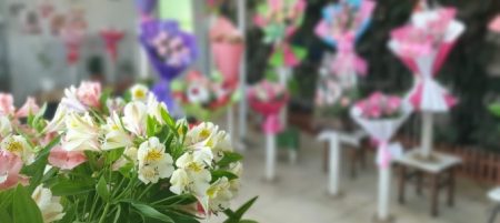 Цветы в магазине Камелия